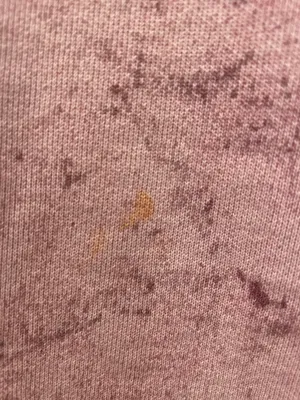 Comfort Colors Oversized Sweatshirt thumbnail 3