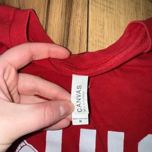 Bella Canvas Red Ohio State Graphic T-Shirt 88 thumbnail 3