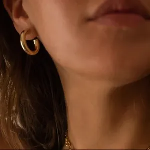 House of Harlow 1960 Chunky Hoop earrings thumbnail 2