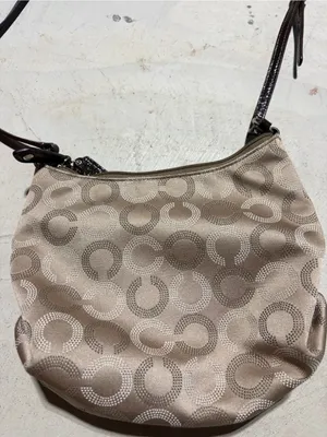 Coach Signature Ashley Crossbody Bag tan thumbnail 9