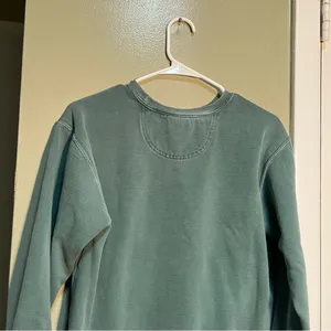 Comfort Colors Women's Size Small Crewneck Sweatshirt Light Green White Virginia thumbnail 6