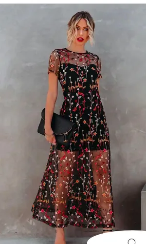 VICI Immeasurable Joy Embroidered Mesh Maxi Dress thumbnail 2