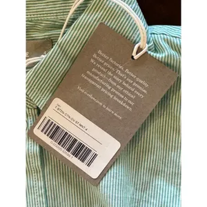 Everlane Button Down Women 4 Green White Stripe NWT Cotton Relaxed Oxford Shirt thumbnail 10