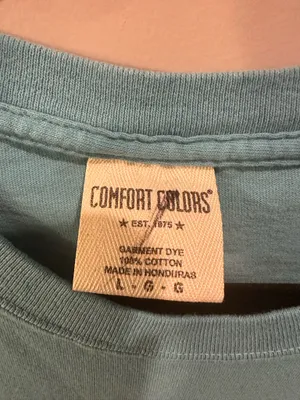Comfort Colors Dayton Beach FL Tee thumbnail 3