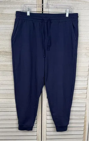 TORRID Women's Plus Size Pull On Fleece Jogger Mid Rise Pants Peacoat Blue-1X thumbnail 1