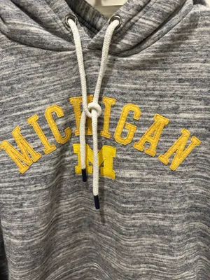Champion University of Michigan hoodie thumbnail 2