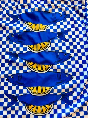 NWOT Blue Checkerboard Sardine Fish Matching Shirt & Pants Set thumbnail 9