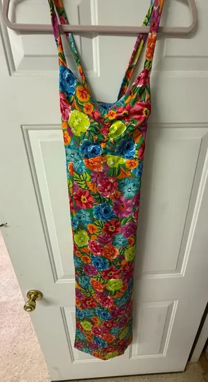 Show Me Your Mumu Dress thumbnail 1