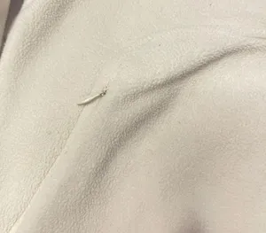 Lacoste Vintage  46 thumbnail 3