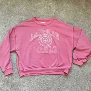 American Eagle Outfitters Sweatshirt. M thumbnail 1