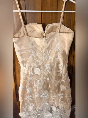 Sheer Lace Overlay Nude & White Spaghetti-Strap Dress thumbnail 5