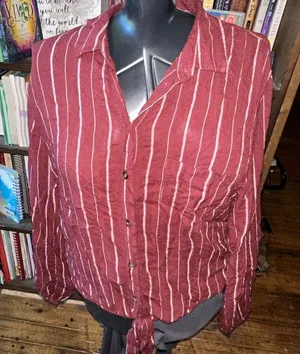 American Eagle rust & white striped L cropped tie front shirt thumbnail 1