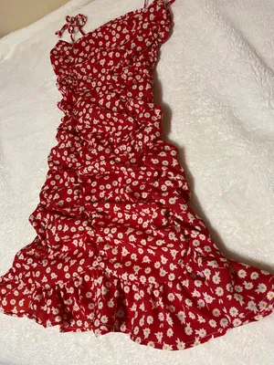 Red Floral Mini Dress thumbnail 1