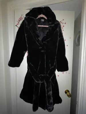 Fur Coat thumbnail 1