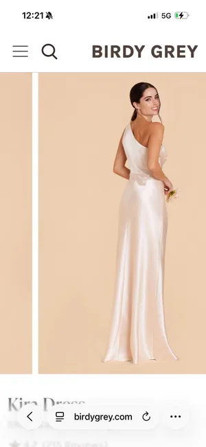 Birdy Grey Shiny Satin Neutral Champagne Dress thumbnail 2