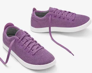 Allbirds Purple Gym Shoes thumbnail 1