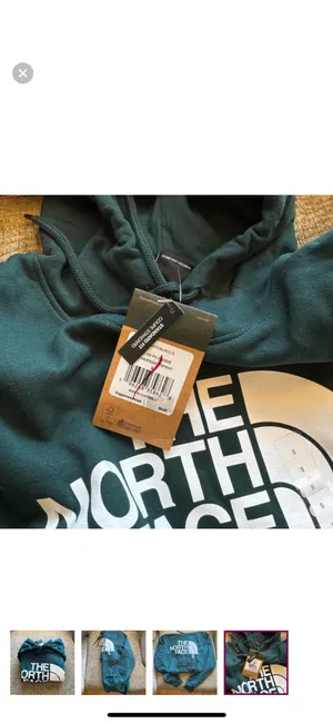 The north face hoodie thumbnail 3
