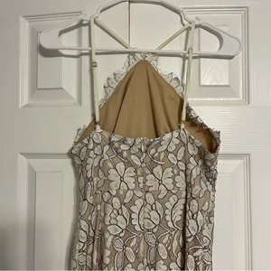 Delicate Darling Beige and Ivory Lace Bodycon Dress thumbnail 7