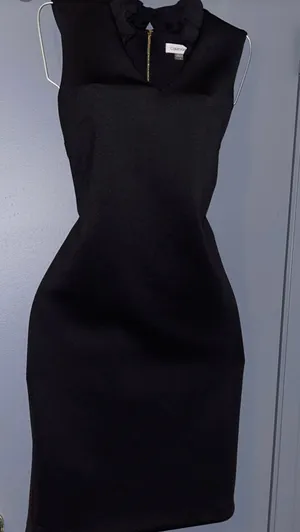 Calvin Klein Dress thumbnail 1
