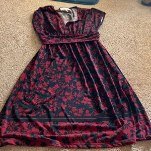 Anthropologie lark & ro‎ dress small thumbnail 1