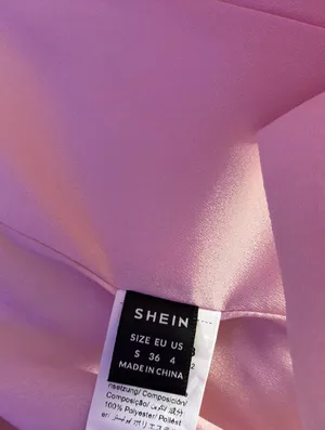 SheIn Pink Lace Up Corset thumbnail 4