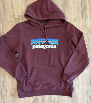 Patagonia Sweatshirt thumbnail 3