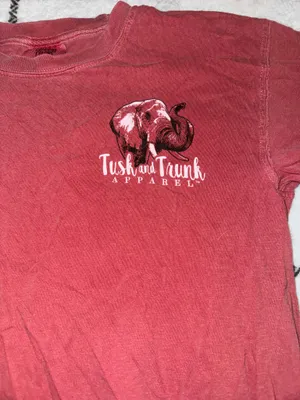 Alabama Comfort Colors T-Shirt thumbnail 4