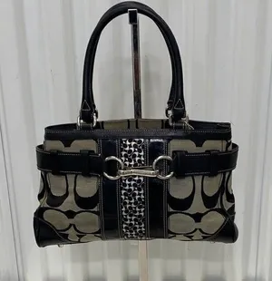 Coach Hampton’s Y2K signature purse thumbnail 1