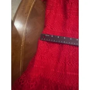 ANTONIO MELANI Red Ochre Lace Overlay Midi Dress, Mermaid-styleHem, Lined, Sz 10 thumbnail 11