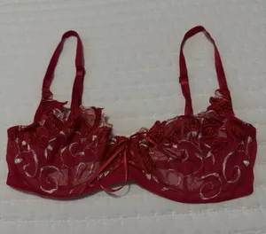 Victoria’s Secret Red Embroidery Mesh Sheer Unlined Bra 34C Underwire thumbnail 1