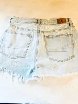 Daisy Embroidered American Eagle Shorts thumbnail 2