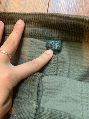 Wild Fable Velvet Skirt thumbnail 4