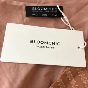 Bloomchic Geometric Mesh Surplice Neck Belted Ruffles Blouse Sheer Pink 12 thumbnail 6