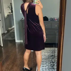 Ann Taylor Plum Velvet Dress thumbnail 12