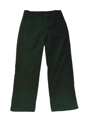 Cider Emerald Green Velour Viscose Blend Pants Size Medium. thumbnail 1