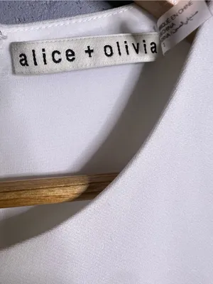 Alice and Olivia Adley Pleated Drop Waist Dress in size 2. Off white. thumbnail 7
