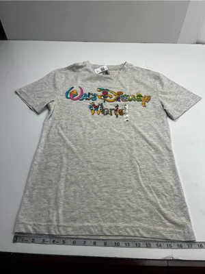 Walt Disney World Womens Grey Gray XS Short Sleeve Shirt Princess Letters NEW thumbnail 7