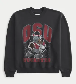 Hollister Crewneck Sweatshirt thumbnail 1