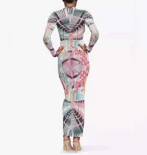 NWOT Skims Summer Mesh Long Sleeve Dress in Deco Train thumbnail 2