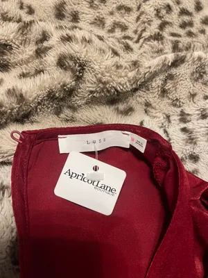 Apricot Lane Red Mini Dress thumbnail 3