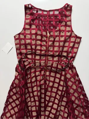 NWT Dressbarn Fit & Flare Overlay Lined Dress, Red/Beige, Size 16 thumbnail 4