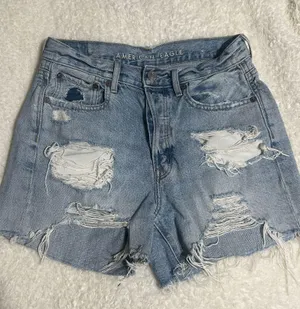 American Eagle Shorts thumbnail 1