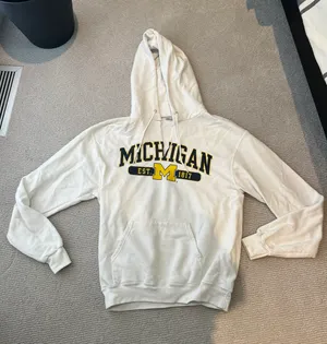 Champion University of Michigan White Hoodie thumbnail 1