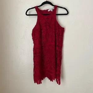 Lovers + Friends Caspian Lace shift dress▪️size S thumbnail 3