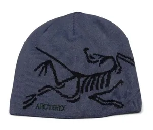 blue and black arcteryx bird head toque beanie thumbnail 1