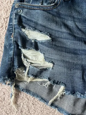 American Eagle Denim Shorts thumbnail 2