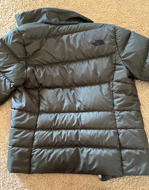 The North Face Puffer Coat thumbnail 4