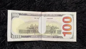 100 dollar bill themed wallet thumbnail 4