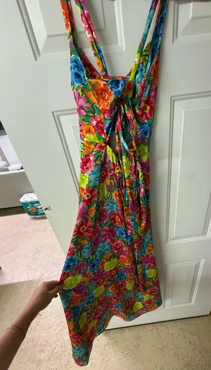 Show Me Your Mumu Dress thumbnail 2