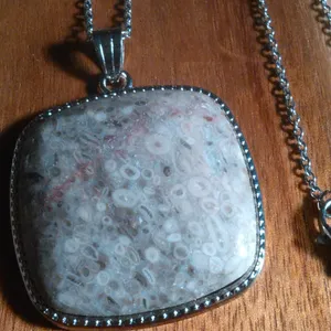 Ocean Fossil Jasper Inlay Frame Silvertone Pendant Stainless Steel Necklace thumbnail 1